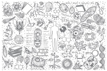 Биологические зарисовки