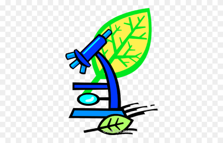 Картинки по биологии