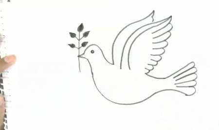 Поэтапное рисование голубя