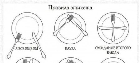 Столовый этикет для детей
