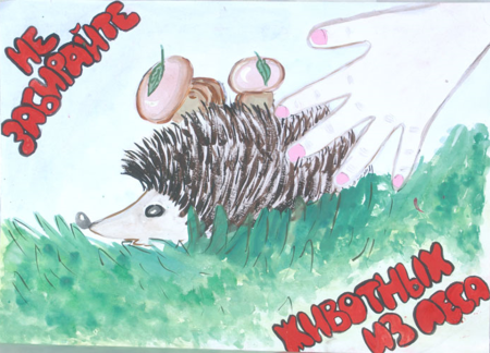 Плакат береги животных