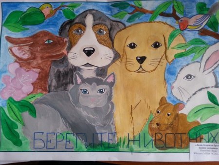 Плакат защита природы