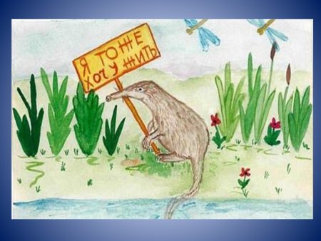 Защита животных рисунок