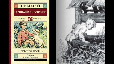 Детство тёмы Гарина- Михайловского экзамен