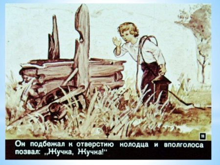 Н.Г.Гарин-Михайловский тёма и жучка