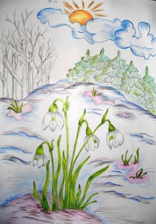 Живая и неживая природа раскраска