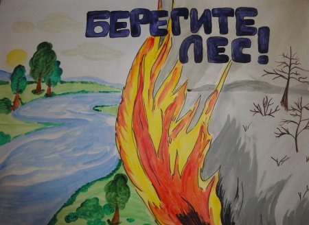 Рисунок на тему заповедник