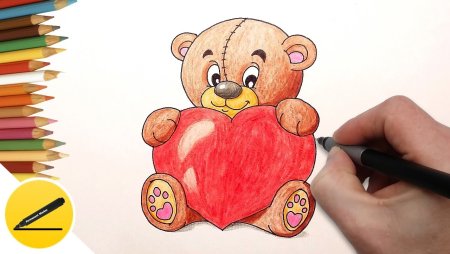 Мишка рисунок для срисовки
