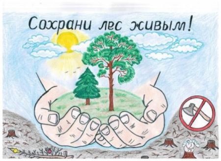 Берегите природу