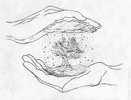 Рисунки природы