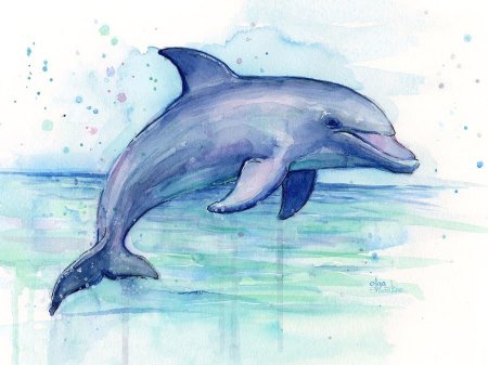Дельфин рисунок