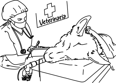 Хирург рисунок