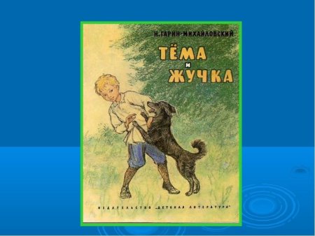 Николай Гарин-Михайловский тёма и жучка