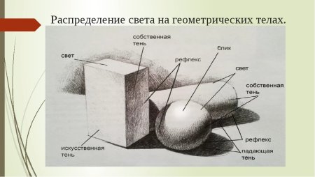Законы светотени в рисунке