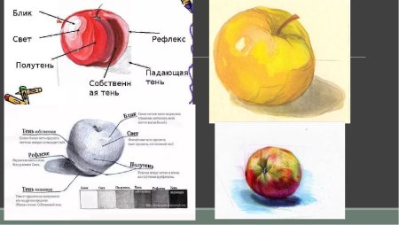 Яблоко свет тень полутень