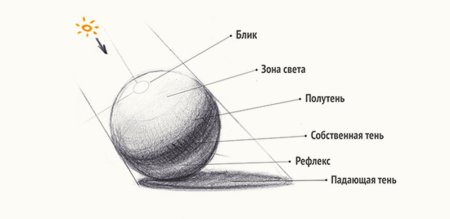 Свет тень полутень рефлекс блик в рисунке карандашом