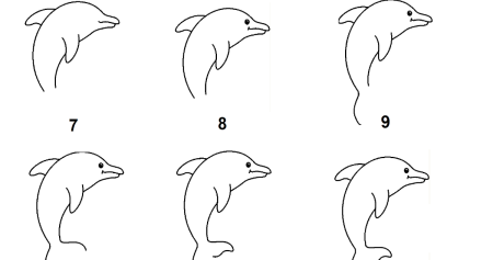 Раскраска Дельфин