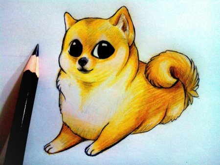 Рисунки для срисовки цветные