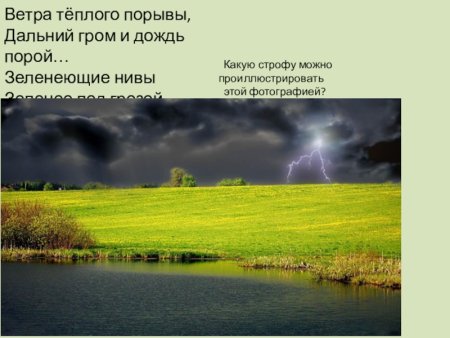 Ф И Тютчев неохотно и несмело