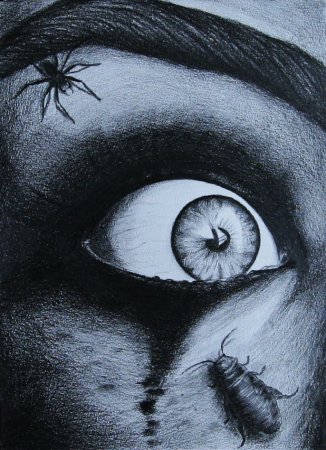 Приведение рисунок