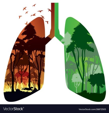 Экология глазами