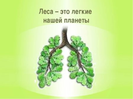 Земля глазами детей