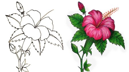 Подснежники рисунок