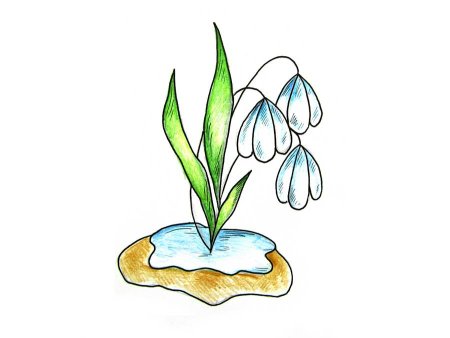 Цветы рисунки красивые лёгкие