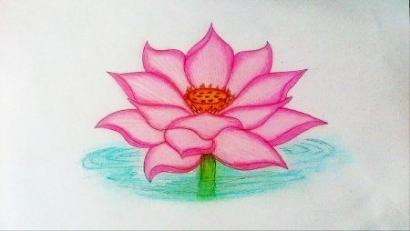 Красная книга рисунок