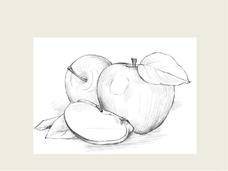 Натюрморт карандашом