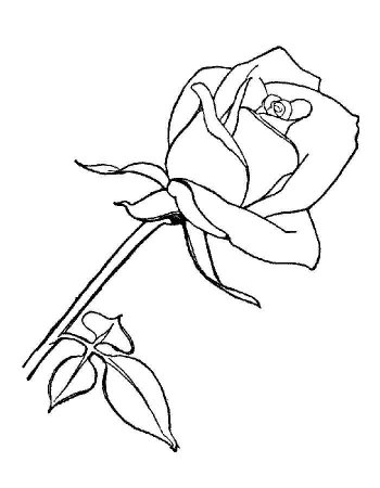 Раскраска букет цветов