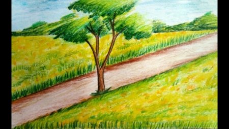 Поле цветными карандашами