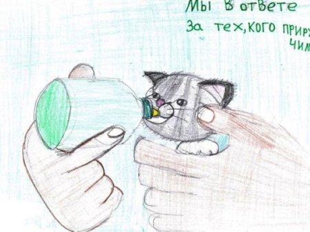Рисунок на тему сопереживание
