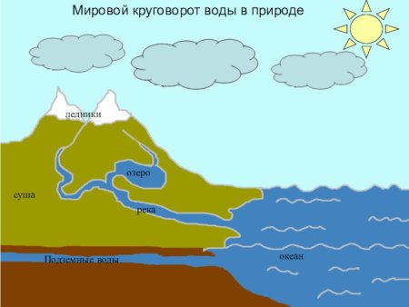Мировой круговорот воды происходит под действием