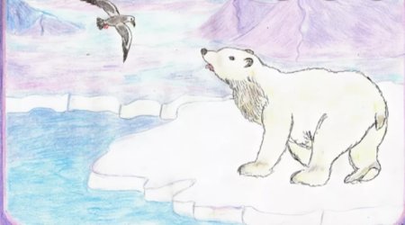 Рисование на тему Арктика