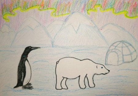 Арктика рисунки детей