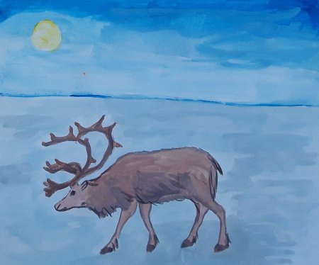 Рисование животных севера