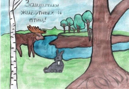 Рисунок на тему охрана животных
