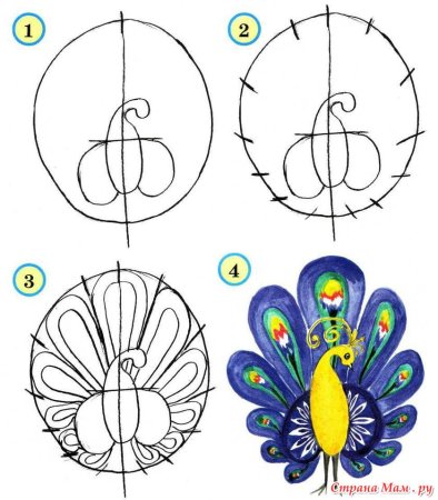 Поэтапное рисование павлина для дошкольников
