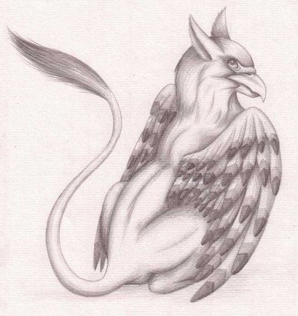 Пегас рисунок