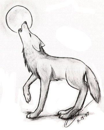 Кот карандашом
