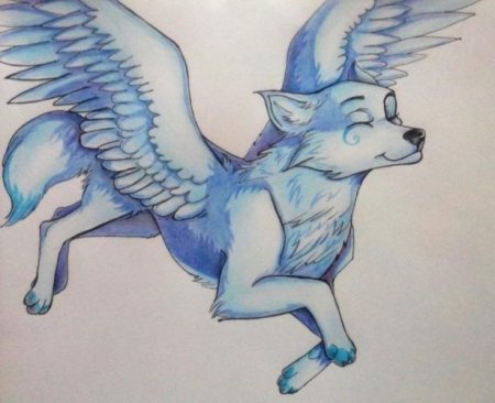 Грифон рисунок