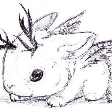 Зарисовки животных легкие