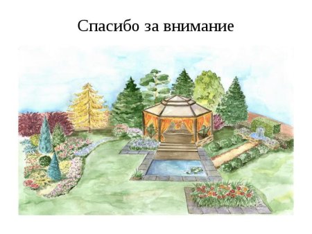 Ландшафтный дизайн рисунок