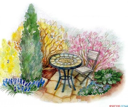 Набросок сада