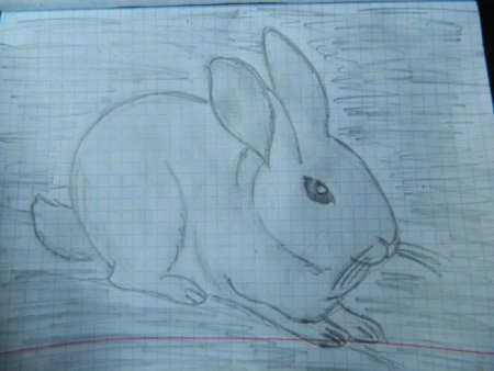 Рисунки карандашом