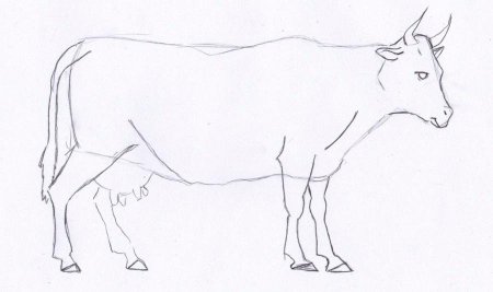 Поэтапное изображение животных