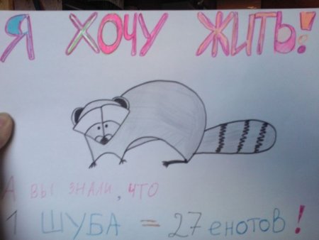 Рисунок берегите животных