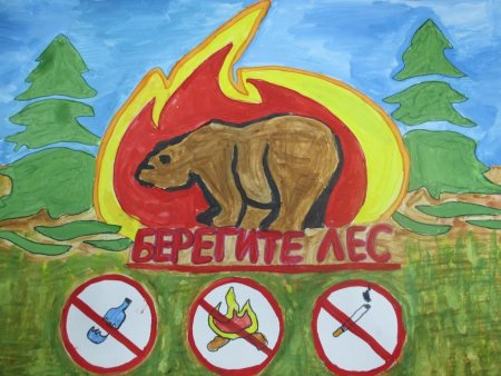 Защита животных рисунок