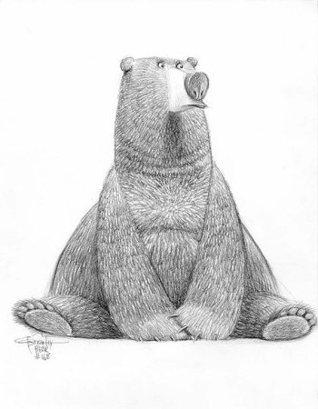 Медведь для срисовки